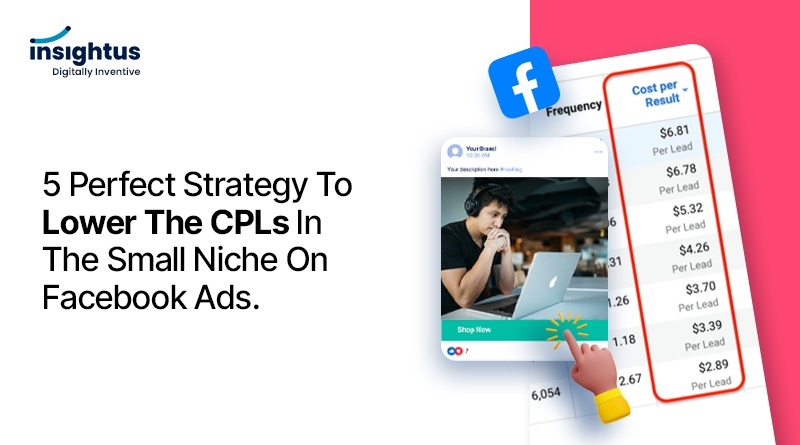 5 Perfect Strategy to lower the CPLs in the small niche on Facebook ads.